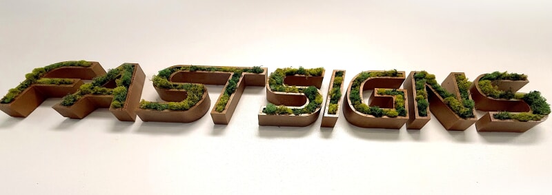 Biophilic Design: The Future of Interior Decor in 2025